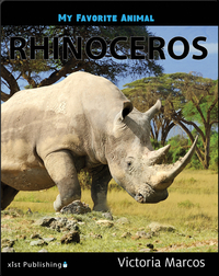 My Favorite Animal: Rhinoceros