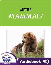What Is A Mammal?