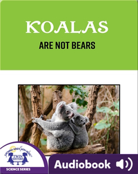 Koalas Are Not Bears