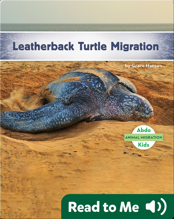 Leatherback Turtle Migration