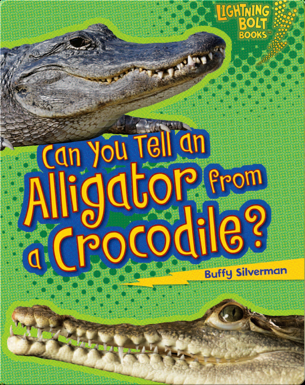Can you Tell An Alligator from a Crocodile?