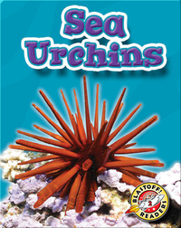 Sea Urchins: Oceans Alive