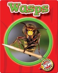 World of Insects: Wasps