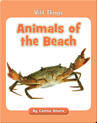 Animals of the Beach