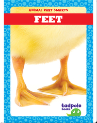 Animal Part Smarts: Feet