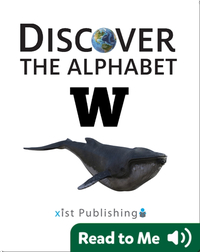 Discover The Alphabet: W