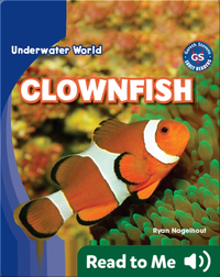 Underwater World: Clownfish
