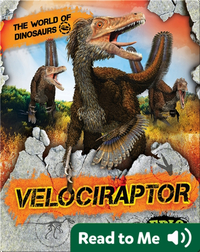 The World of Dinosaurs: Velociraptor