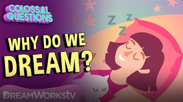 Why Do We Dream? | COLOSSAL QUESTIONS