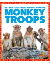 Monkey Troops