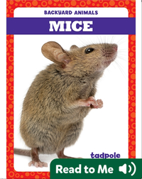 Backyard Animals: Mice