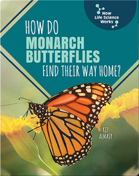 How Do Monarch Butterflies Find Their Way Home?