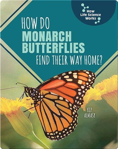 How Do Monarch Butterflies Find Their Way Home?