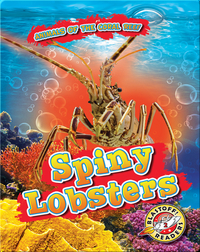 Animals of the Coral Reefs: Sping Lobsters