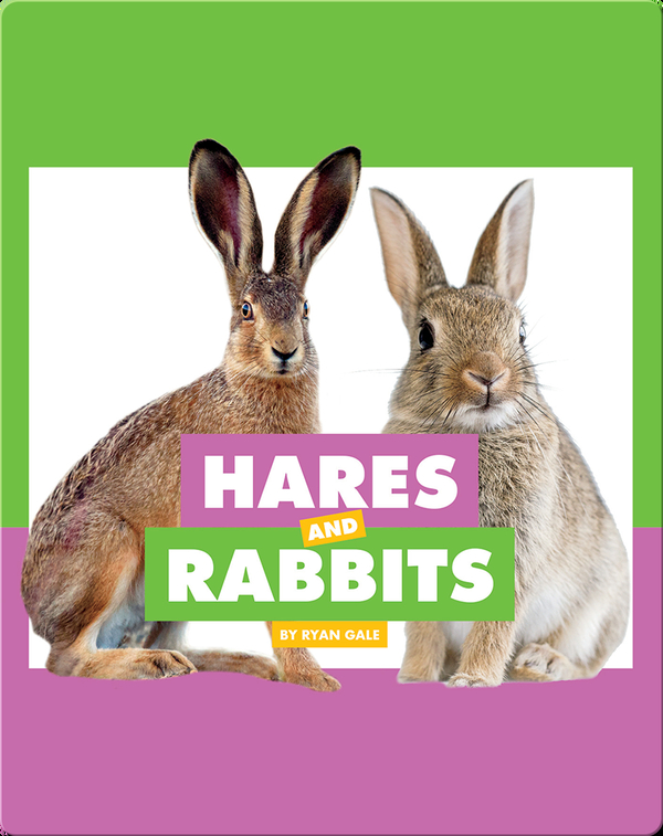 Comparing Animal Differences: Hares and Rabbits