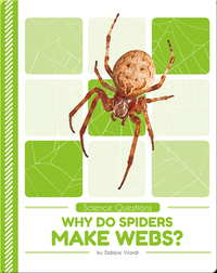 Science Questions: Why Do Spiders Make Webs?