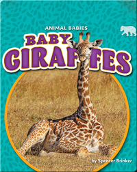 Animal Babies: Baby Giraffes