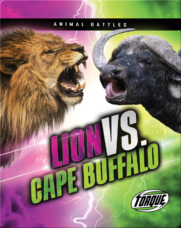 Animal Battles: Lion vs. Cape Buffalo