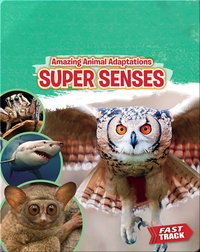 Amazing Animal Adaptations: Super Senses