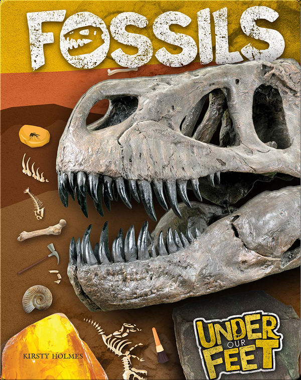 Under Our Feet: Fossils