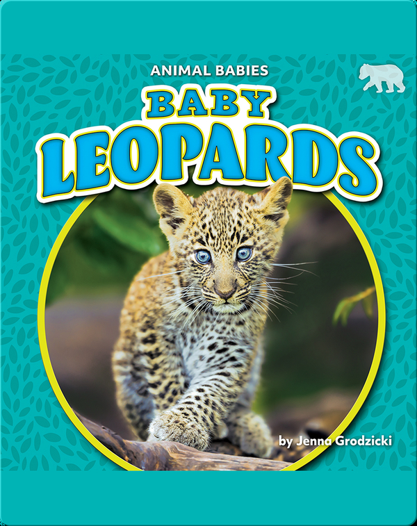 Animal Babies: Baby Leopards