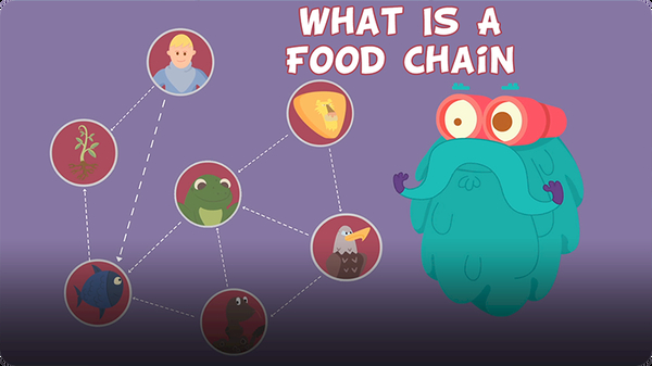 The Dr. Binocs Show: What is a Food Chain?