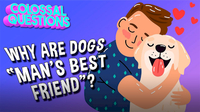 Colossal Questions: Why Are Dogs "Man's Best Friend"?