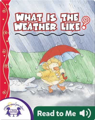 What is the Weather Like?