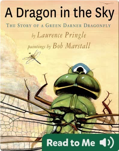 A Dragon in the Sky: The Story of a Green Darner Dragonfly