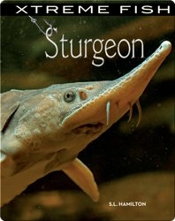 Xtreme Fish: Sturgeon