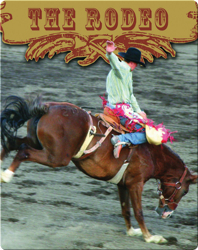 All About The Rodeo: The Rodeo
