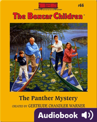 The Panther Mystery