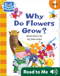 Why Do Flowers Grow?