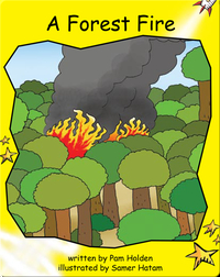 A Forest Fire