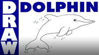 Learn How to Draw a Dolphin