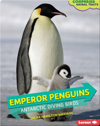 Emperor Penguins: Antarctic Diving Birds