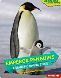 Emperor Penguins: Antarctic Diving Birds