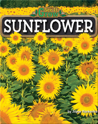 Sunflower (See It Grow)
