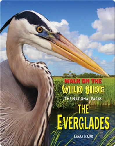 Walk on the Wild Side: The Everglades