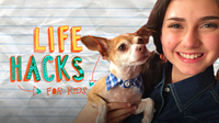 Dog Hacks | LIFE HACKS FOR KIDS