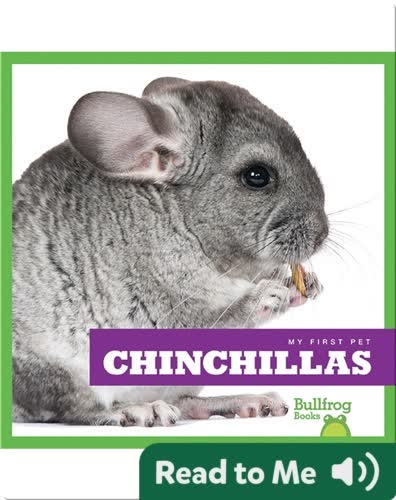 My First Pet: Chinchillas