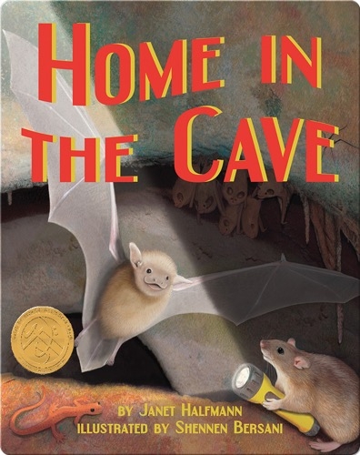 Home in the Cave