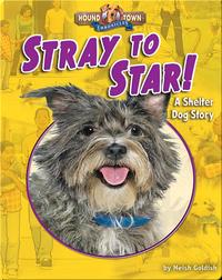 Stray to Star! A Shelter Dog Story