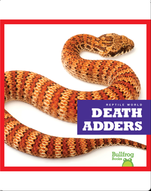 Reptile World: Death Adders