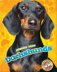 Awesome Dogs: Dachshunds