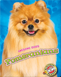 Awesome Dogs: Pomeranians