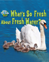 What's So Fresh About Fresh Water?