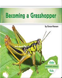 Becoming a Grasshopper
