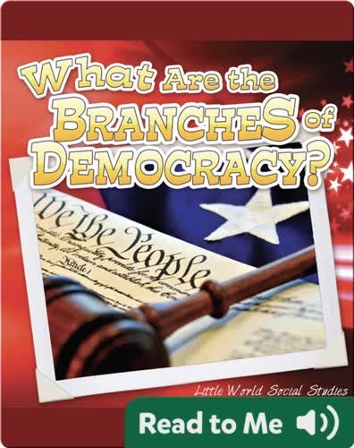 What Are The Branches of Democracy?