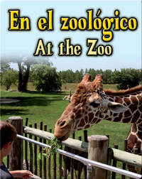 En El Zoologico  (At The Zoo)